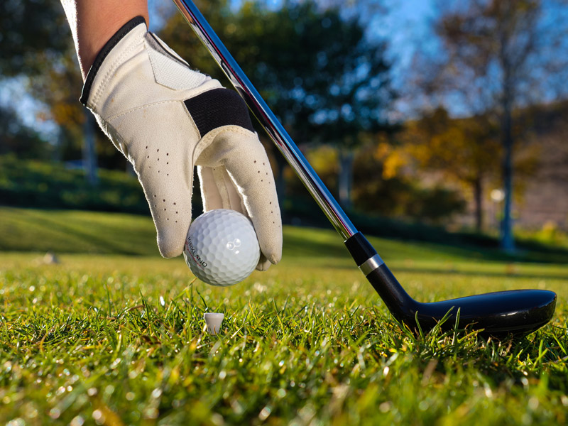 Lesson Rates & Information